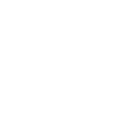 Our Vision